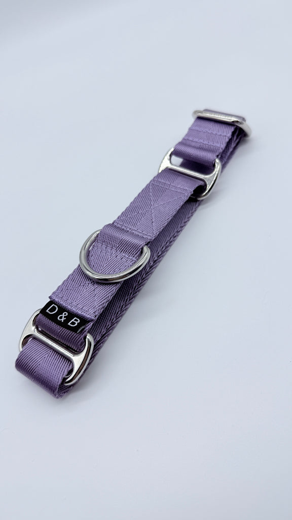 Pre-made Small Handcrafted 25mm Martingale Dog Collar