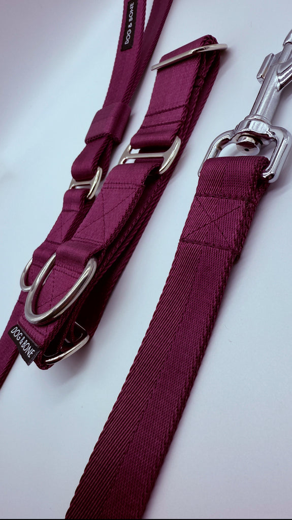 Christmas Special - The Martingale Collar 40mm & Duburu Lead //  FIG