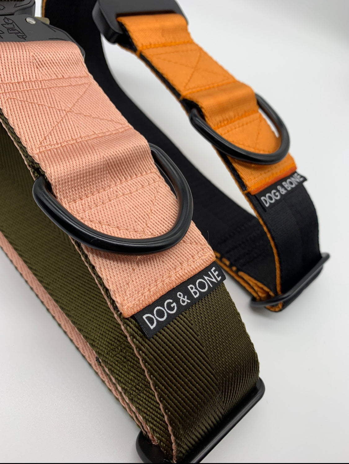 The Tactical Buckle Collar
