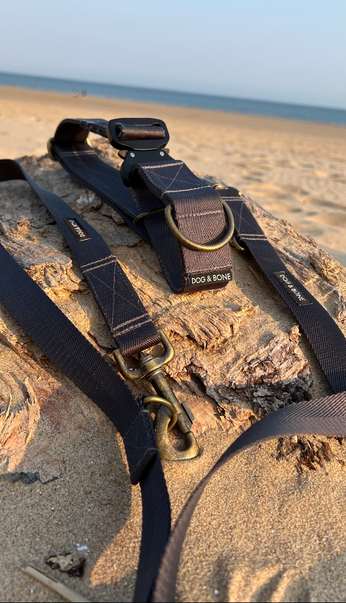 The Martingale Tactical Buckle Collar